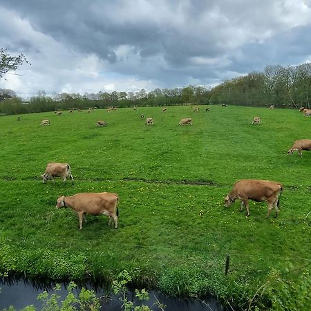 B&B In De Roos Noordbergum Zewnętrze zdjęcie