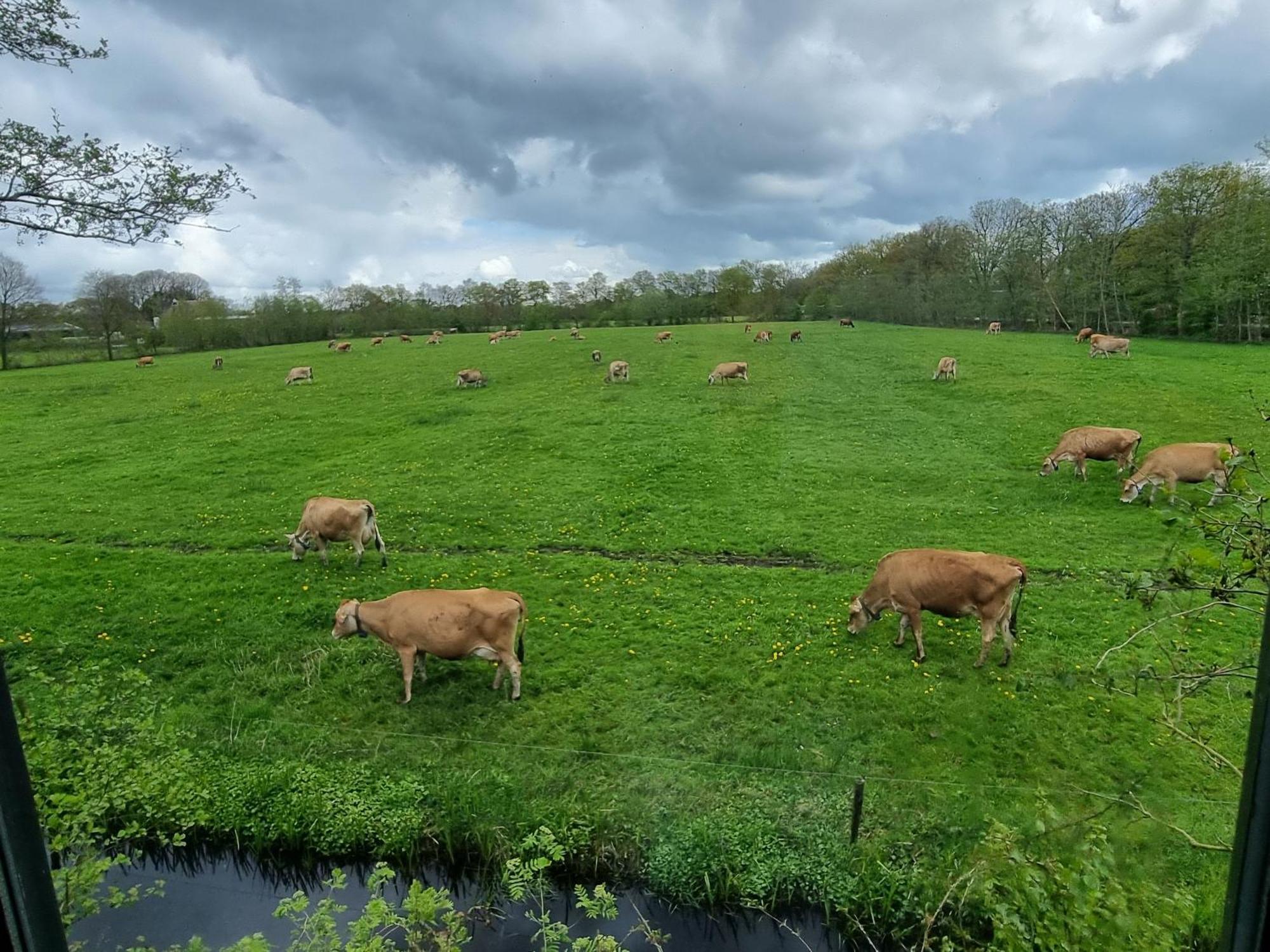 B&B In De Roos Noordbergum Zewnętrze zdjęcie